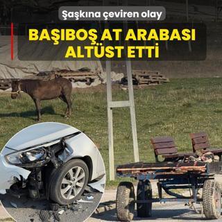 �a�k�na �eviren olay! Ba��bo� at arabas� alt�st etti