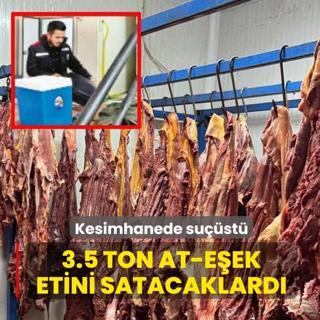 3.5 ton at-e�ek etini satacaklard�
