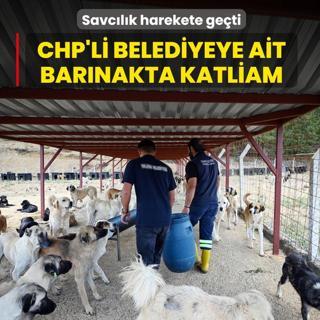 CHP'ye ait bar�nakta katliam! Savc�l�k harekete ge�ti