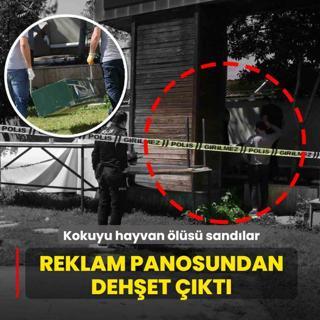 Kokuyu hayvan �l�s� sand�lar... Reklam panosundan deh�et ��kt�