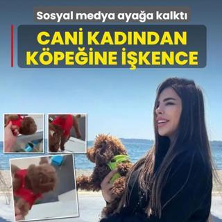 Cani kad�ndan k�pe�ine i�kence! Sosyal medya aya�a kalkt�