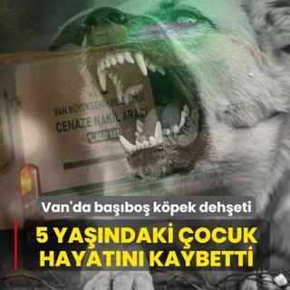 Van'da ba��bo� k�pek deh�eti: 5 ya��ndaki �ocuk hayat�n� kaybetti