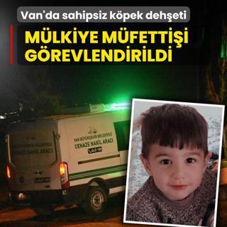 Van'da sahipsiz k�pek deh�eti! M�lkiye m�fetti�i g�revlendirildi