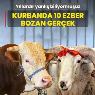 Y�llard�r yanl�� biliyormu�uz! Kurbanla ilgili 10 ezber bozan ger�ek