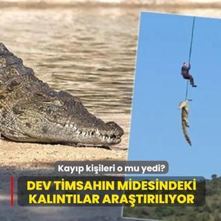 500 kiloluk timsah�n midesindeki kal�nt�lar ara�t�r�l�yor! Kay�p i� insan� vakas�nda korkun� ��phe