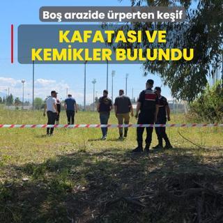 Bo� arazide �rperten ke�if! Kafatas� ve kemikler bulundu