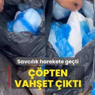 Savc�l�k harekete ge�ti! ��p konteynerlerinden vah�et ��kt�