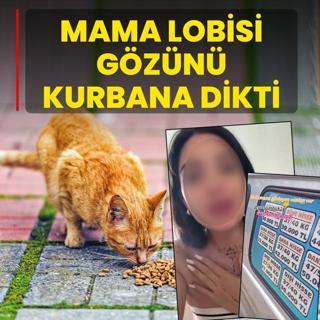 Mama lobisi g�z�n� kurbana dikti