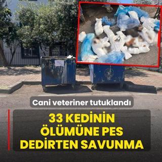 33 kedinin �l�m�ne pes dedirten savunma! Cani veteriner tutukland�