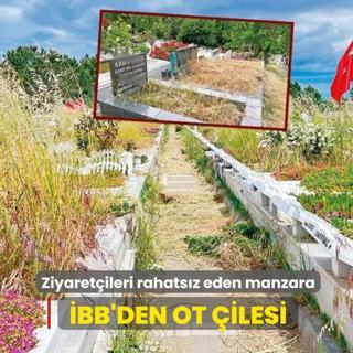 �BB'den ot �ilesi