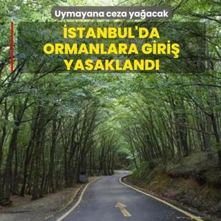 �stanbul'da ormanlara giri� yasakland�! Uymayana ceza ya�acak