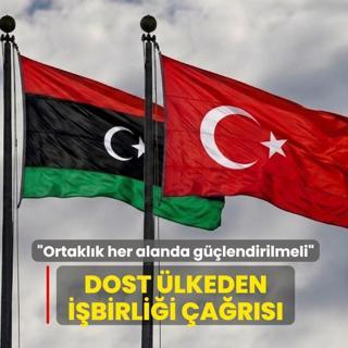 Dost �lkeden T�rkiye'ye i�birli�i �a�r�s�: Ortakl�k her alanda g��lendirilmeli
