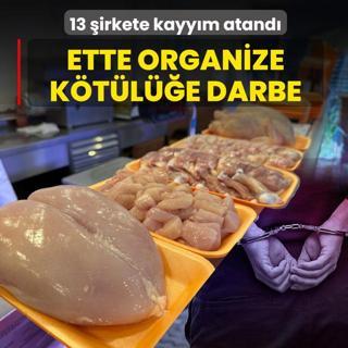 Ette organize k�t�l��e darbe! 13 �irkete denetim kayy�m� atand�