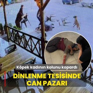 Dinlenme tesisinde can pazar�! K�pek kad�n�n kolunu kopard�