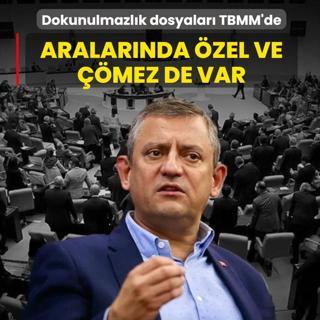 Aralar�nda �zel ve ��mez de var: Dokunulmazl�k dosyalar� TBMM'ye sunuldu
