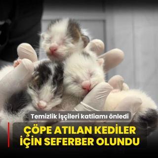 Temizlik i��ileri katliam� �nledi: ��p konteynerinden gelen sesler mucizeyi getirdi