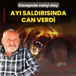 Kanepede vah�i olay! Ay� sald�r�s�nda can verdi