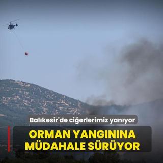 Bal�kesir'de ci�erlerimiz yan�yor! Orman yang�n�na m�dahale s�r�yor