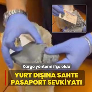 Yurt d���na sahte pasaport sevkiyat�: Kargo y�ntemi if�a oldu
