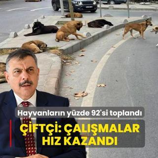 Sahipsiz sokak hayvanlar�n�n y�zde 92'si topland�! Bakan �ift�i: �lke genelinde �al��malar h�z kazand�