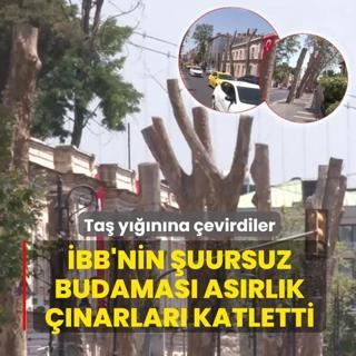 �BB'nin �uursuz budamas� as�rl�k ��narlar� katletti! Ta� y���n�na �evirdiler