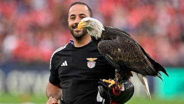 Benfica - Fenerbahe ma ncesinde kartal uuruldu