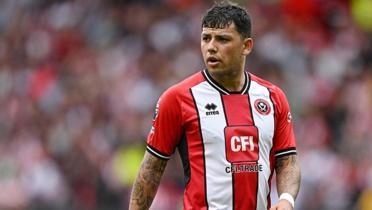 Gustavo Hamer sesleri