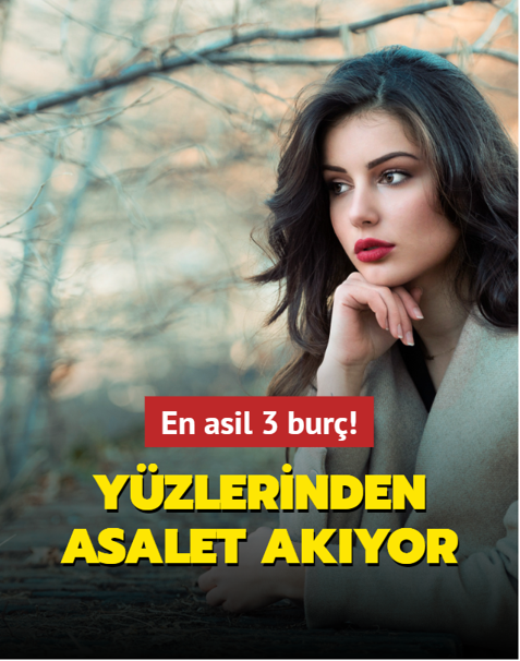 En asil 3 bur�! Y�zlerinden asalet ak�yor