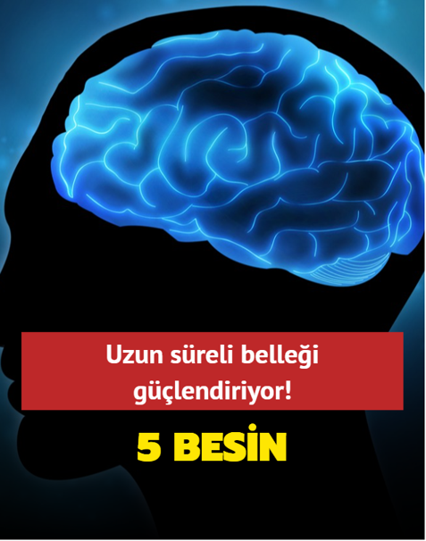 Uzun s�reli belle�i g��lendiriyor! Haf�za dostu 5 besin