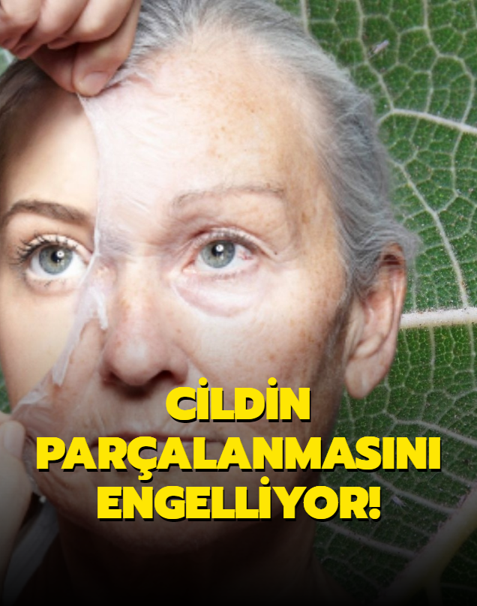 Cildin par�alanmas�n� engelliyor! Meyvesinde ba�ka yapra��nda bamba�ka faydalar var