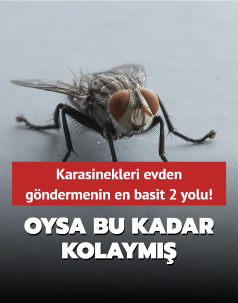 Karasinekleri evden g�ndermenin en basit 2 yolu! Oysa o b�ceklerden kurtulmak bu kadar kolaym��...