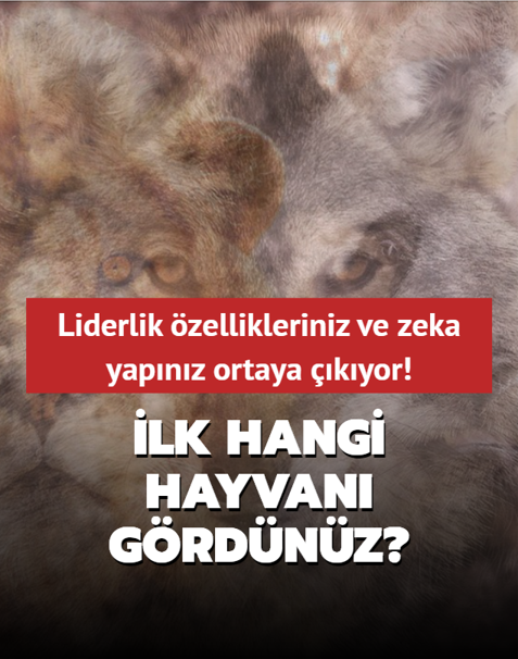 Ki�ilik testi: �lk hangi hayvan� g�rd�n�z? Liderlik �zellikleriniz ve zeka yap�n�z ortaya ��k�yor...