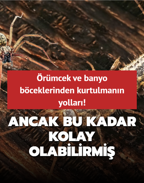 �r�mcek ve banyo b�ceklerinden kurtulman�n yollar�! Ancak bu kadar kolay olabilirmi�