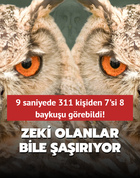 stn zeka testi: Zeki olanlar bile aryor! 9 saniyede 311 kiiden 7'si 8 baykuu grebildi