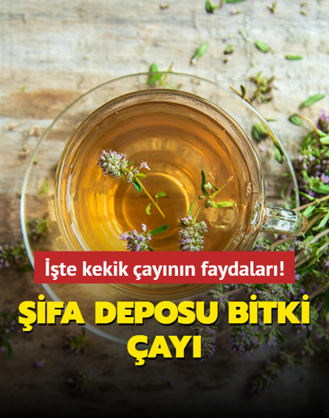 �ifa deposu bitki �ay�! ��te kekik �ay�n�n faydalar��