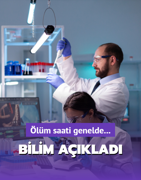 Bilim aklad! nsanlar en ok hangi saatte lr?