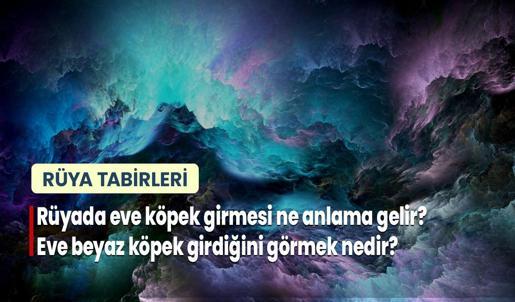 Rüyada Eve Köpek Girmesi Ne Anlama Gelir? Eve Beyaz Köpek Girdiğini Görmek Nedir?
