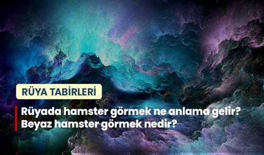 Rüyada Hamster Görmek Ne Anlama Gelir? Beyaz Hamster Görmek Nedir?
