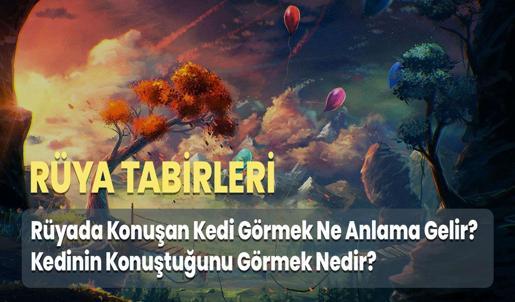 Rüyada Konuşan Kedi Görmek Ne Anlama Gelir? Kedinin Konuştuğunu Görmek Nedir?