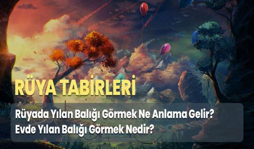 Rüyada Yılan Balığı Görmek Ne Anlama Gelir? Evde Yılan Balığı Görmek Nedir?