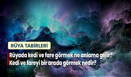 Rüyada Kedi Ve Fare Görmek Ne Anlama Gelir? Kedi ve Fareyi Bir Arada Görmek Nedir?