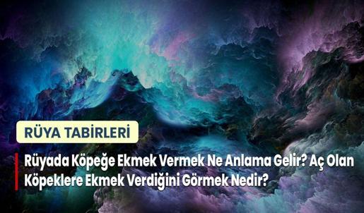 Rüyada Köpeğe Ekmek Vermek Ne Anlama Gelir? Aç Olan Köpeklere Ekmek Verdiğini Görmek Nedir?