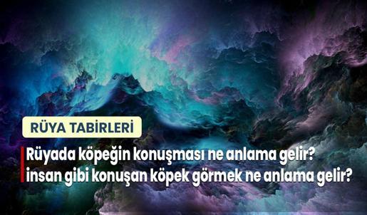 Rüyada Köpeğin Konuşması Ne Anlama Gelir? İnsan Gibi Konuşan Köpek Görmek Ne Anlama Gelir?
