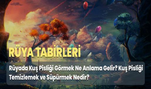 Rüyada Kuş Pisliği Görmek Ne Anlama Gelir? Kuş Pisliği Temizlemek ve Süpürmek Nedir?