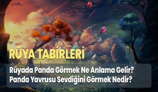 Rüyada Panda Görmek Ne Anlama Gelir? Panda Yavrusu Sevdiğini Görmek Nedir?