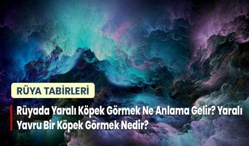Rüyada Yaralı Köpek Görmek Ne Anlama Gelir? Yaralı Yavru Bir Köpek Görmek Nedir?