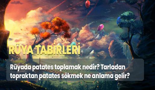 Rüyada Patates Toplamak Nedir? Tarladan Topraktan Patates Sökmek Ne Anlama Gelir?