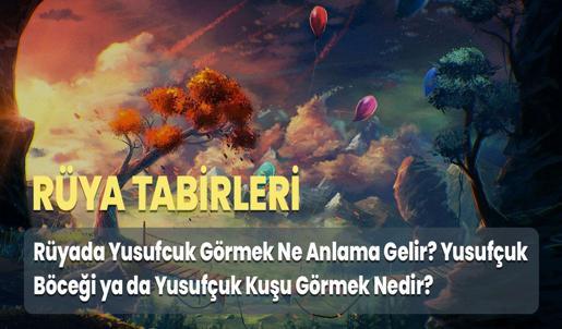 Rüyada Yusufçuk Görmek Ne Anlama Gelir? Yusufçuk Böceği ya da Yusufçuk Kuşu Görmek Nedir?