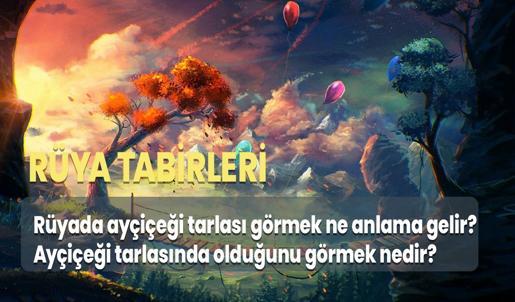 Rüyada Ayçiçeği Tarlası Görmek Ne Anlama Gelir? Ayçiçeği Tarlasında Olduğunu Görmek Nedir?