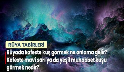 Rüyada Kafeste Kuş Görmek Ne Anlama Gelir? Kafeste Mavi Sarı ya da Yeşil Muhabbet Kuşu Görmek Nedir?